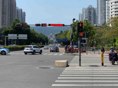 新洲路多个红绿灯“罢工”？原因找到了！