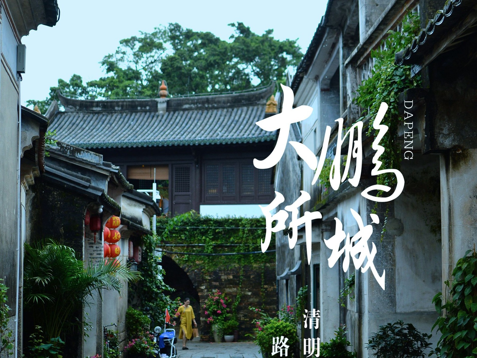 清明时节，大鹏这些美景开了一场“诗词大会”