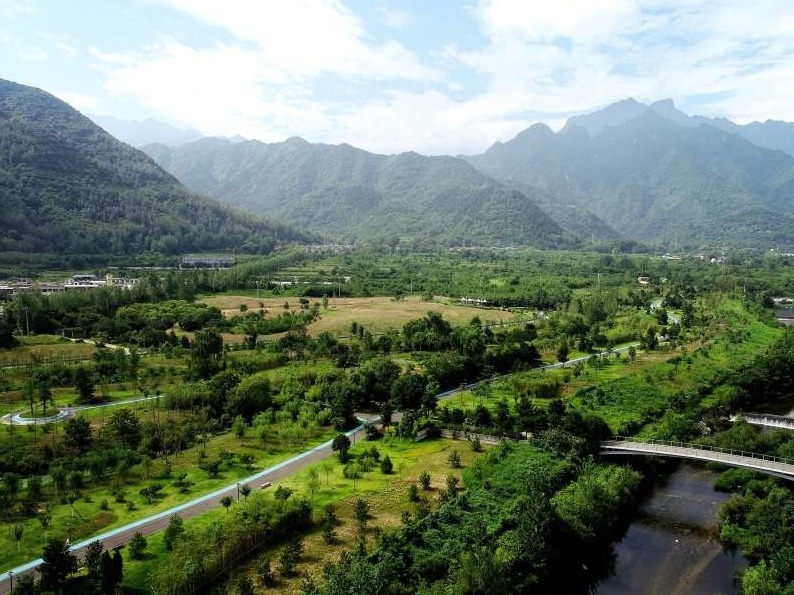 鉴往知来，跟着总书记学历史丨 “一座秦岭山，半部中国史”