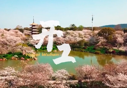 武汉，开工大吉！