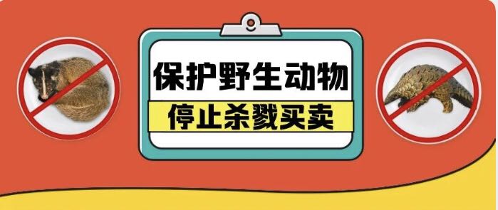 科学防控新冠肺炎 |野生动物携带这么多病毒，你却想要吃它？！