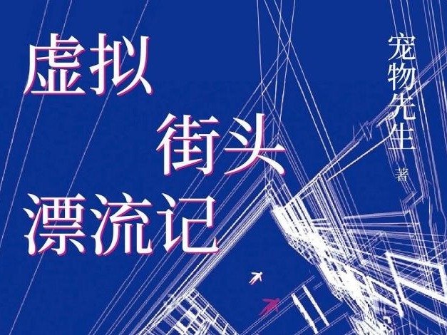 荐书|《虚拟街头漂流记》：一本带有科幻性质的推理小说