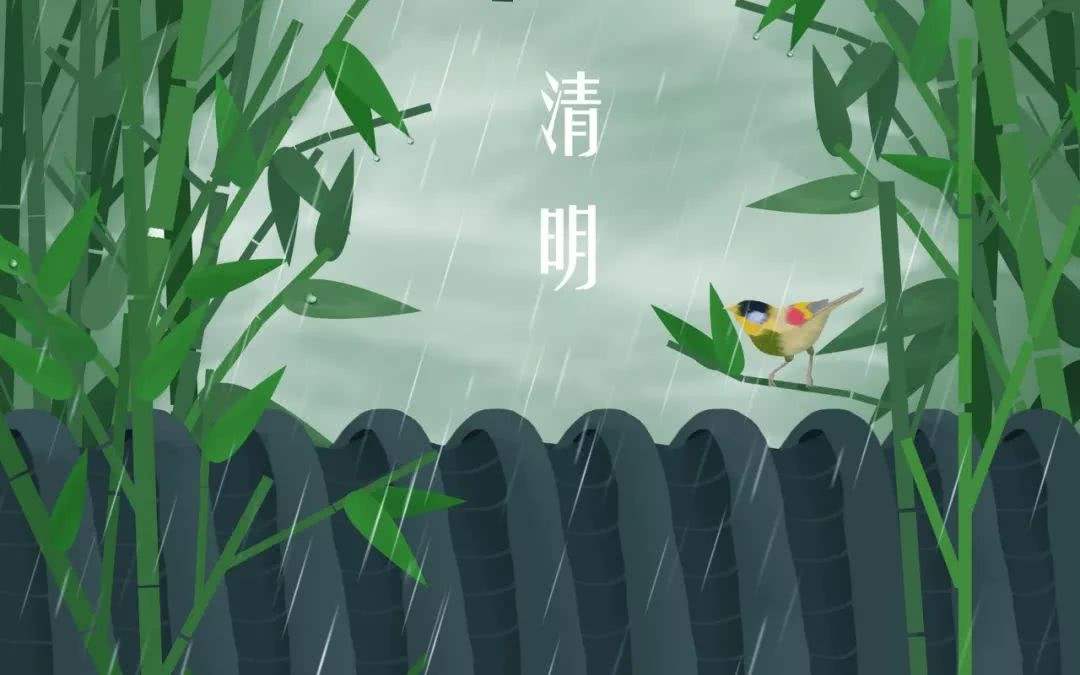 清明时节雨纷纷！今年深圳龙舟水偏多