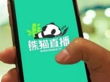 王思聪旗下熊猫互娱再增失信被执行人 执行标的超1000万