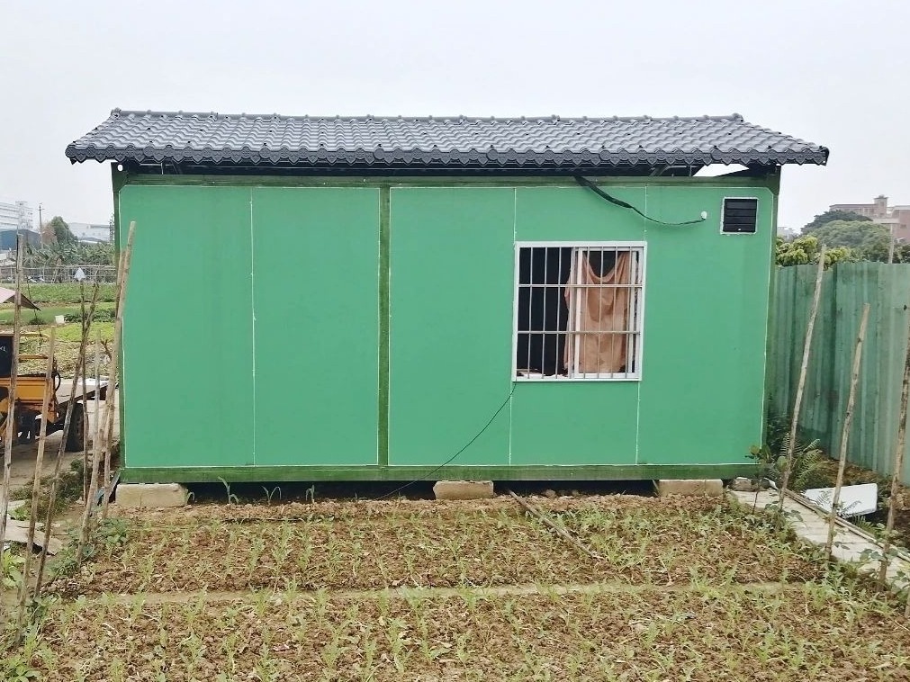 窝棚变身工具房！东莞麻涌全面建设美丽田园