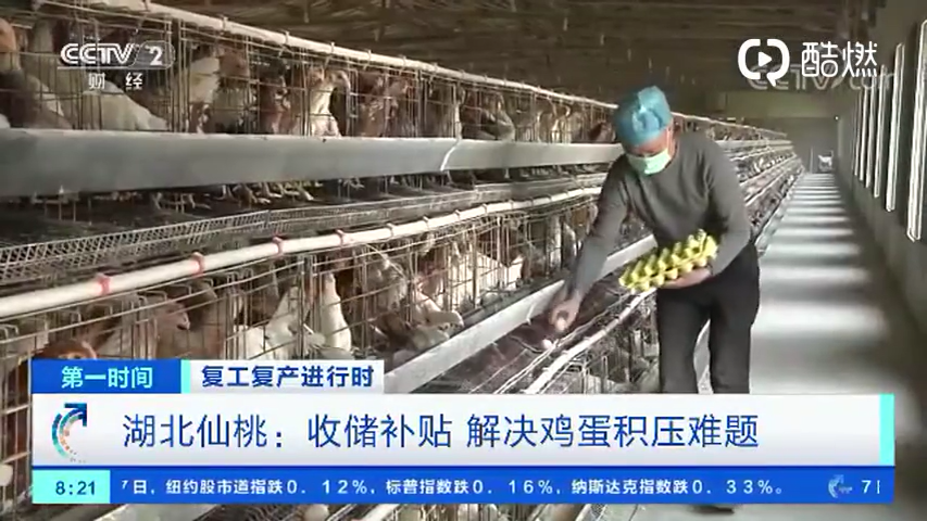 湖北养殖户日积压超9000枚鸡蛋！饲料“弹尽粮绝”之时，湖北省出手了