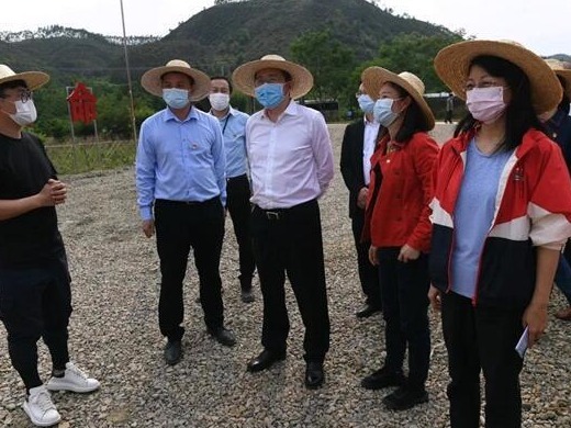 南山坚决打赢脱贫攻坚决胜战，助力连平产业园变“聚宝盆”