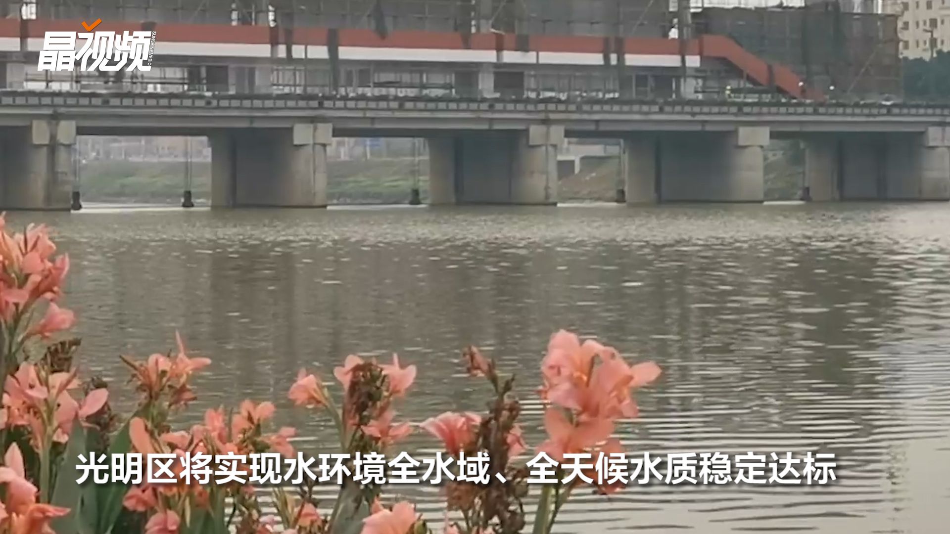 深圳光明区水务一体化，未来将实现全水域、全天候水质稳定达标