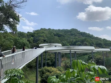 防疫不负春日好 光明街道生产消费全面激活