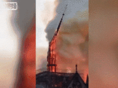被大火吞噬一周年后，巴黎圣母院怎样了？