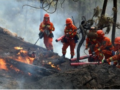 24小时内森林消防参与扑火13起，5起仍在扑救