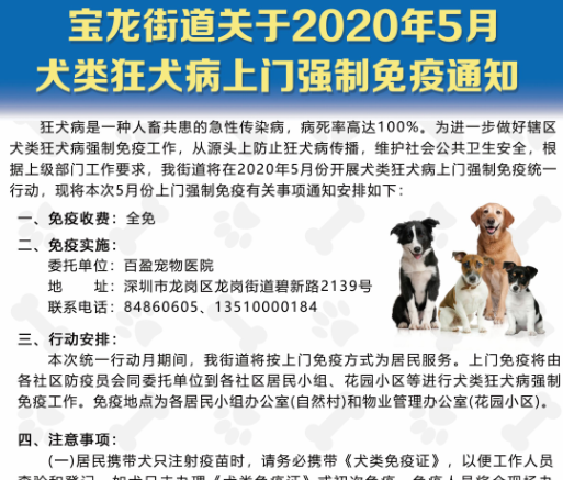 你家爱犬打疫苗了吗？宝龙街道将提供免费狂犬疫苗注射