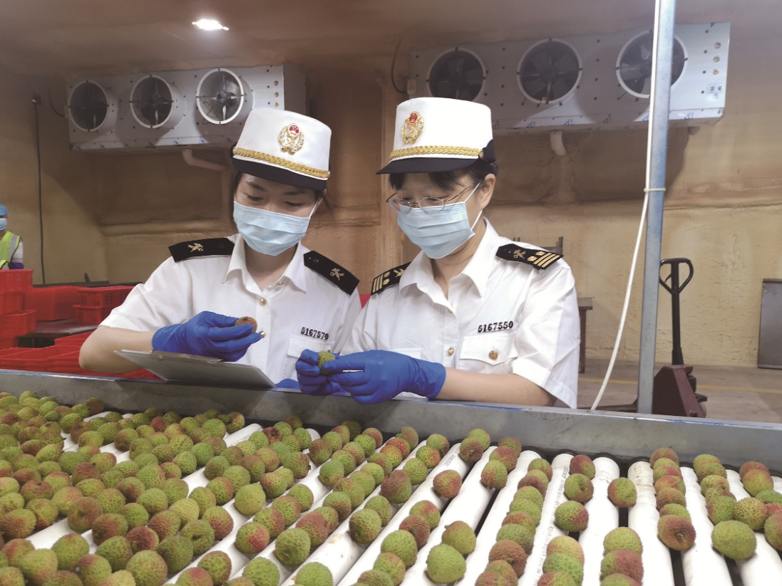 又是一年荔枝香，“中国甜蜜”走俏海外