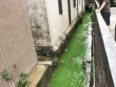 偷排绿色废水，东莞一加工店将面临20万至100万元处罚！