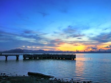 深圳湾海域赤潮消退 海面无鱼类死亡