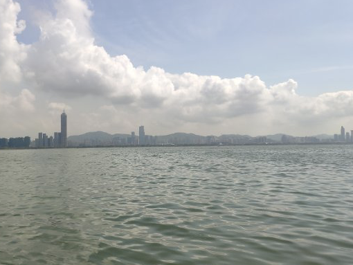 深圳湾赤潮已完全消退