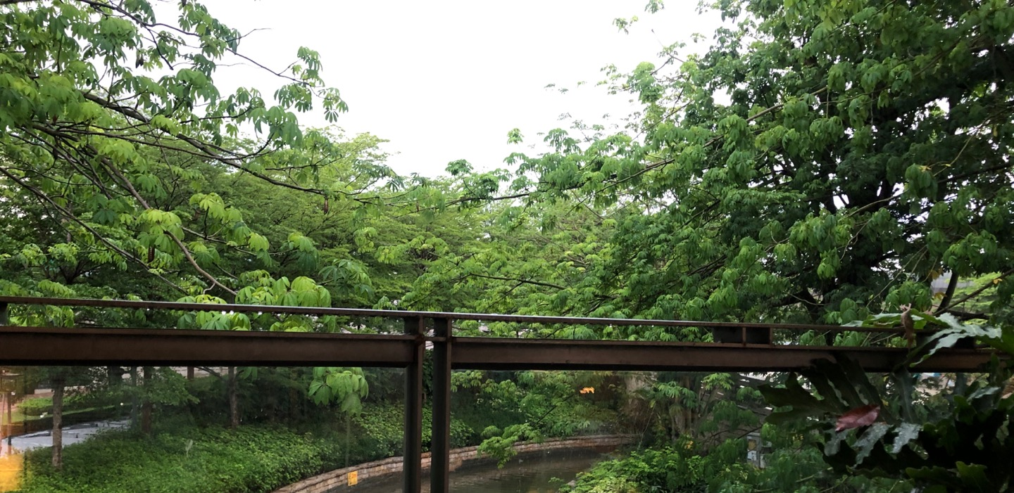 明后天局地仍将有暴雨，市三防办：加强应急处置能力