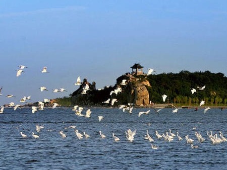 水调歌头（新韵）·北戴河