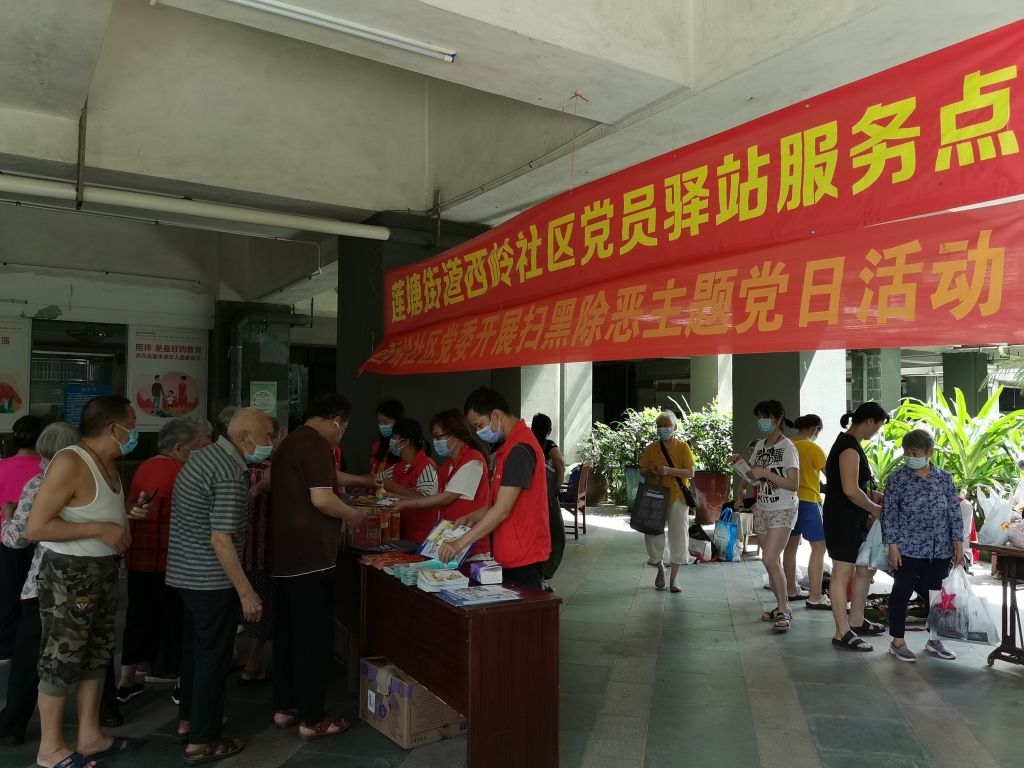 西岭社区组织开展主题党日活动
