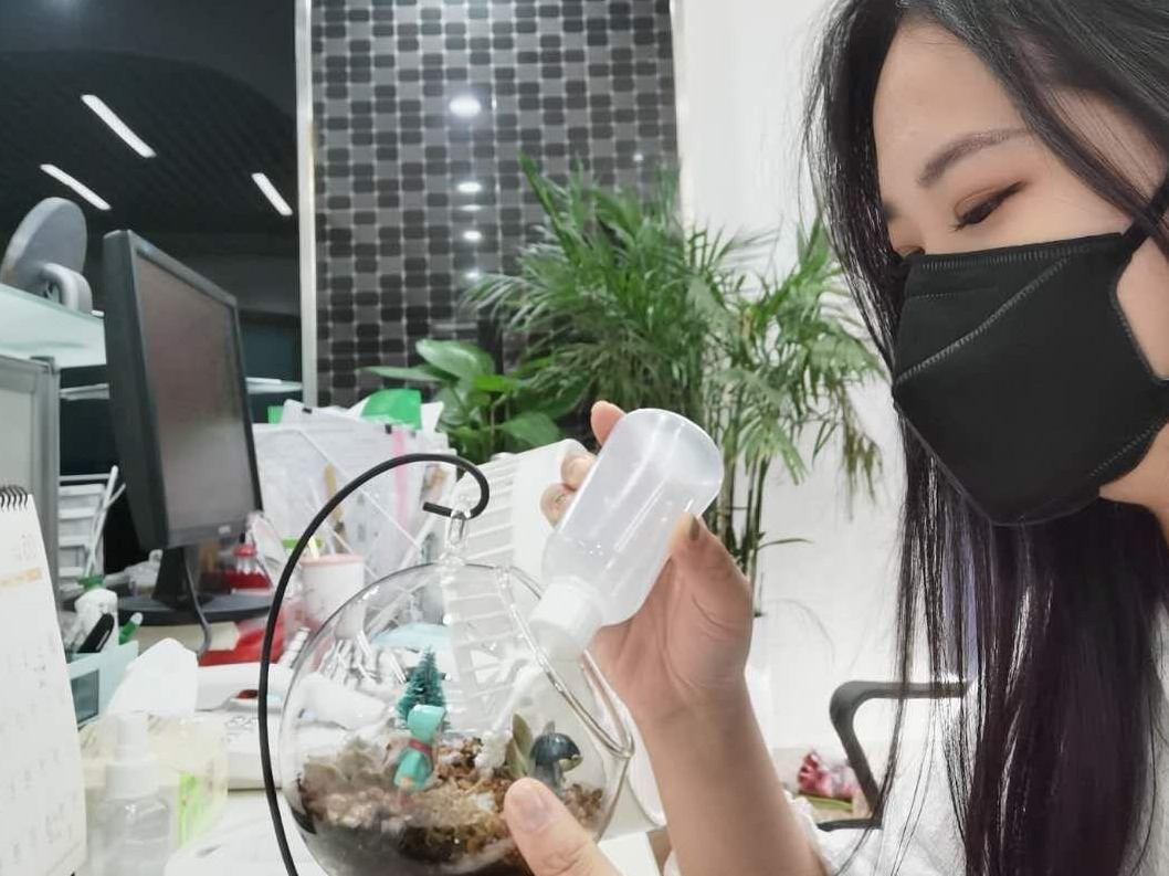 “把绿色带进办公室” 蛇口网谷党群服务中心微缩植物景观DIY线上解压活动受点赞