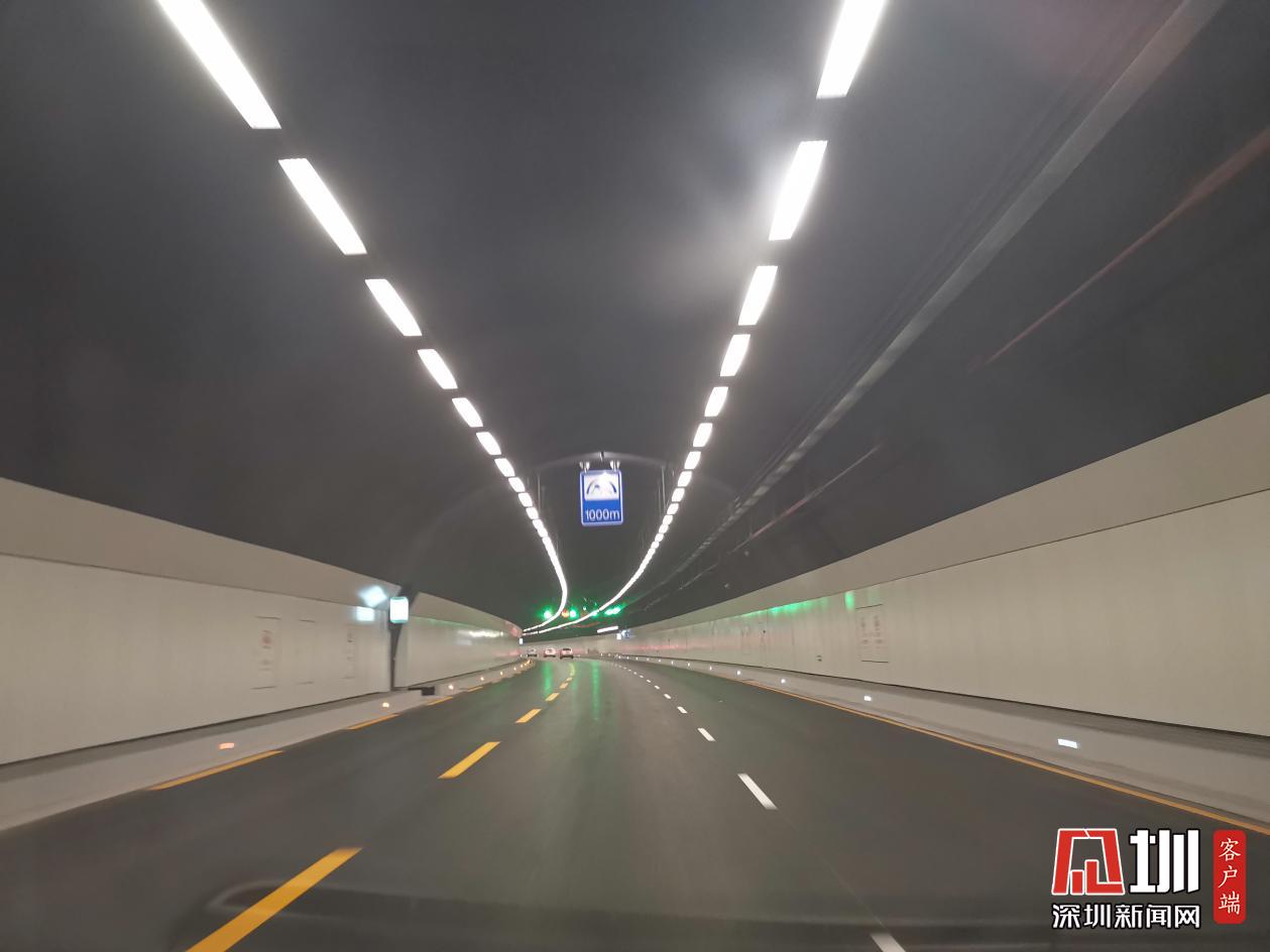 深圳林场隧道图片