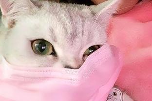 最新研究发现，新冠病毒可以猫传猫