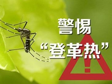 广东省卫健委：夏季登革热高发，重点在于防蚊和灭蚊