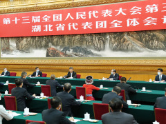 习近平“下团组”：我提出，湖北代表团一定得来一下