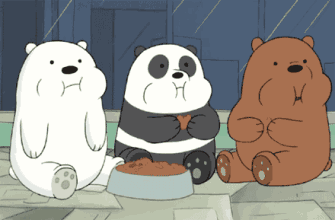剧毒蘑菇！深圳人都必须认识这种东西，发现要立即清除