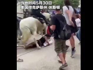 美国警察骑马踩踏示威者，围观群众强烈不满