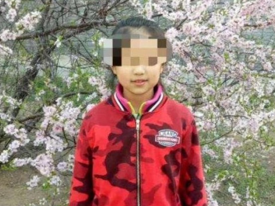 大连13岁男孩杀害10岁女童案民事诉讼今开庭：被告缺席