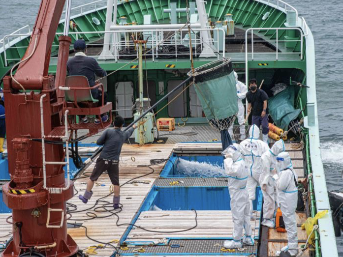 汕尾海关“四优先”通关服务，助力12万尾活狮鱼苗“畅游”出海