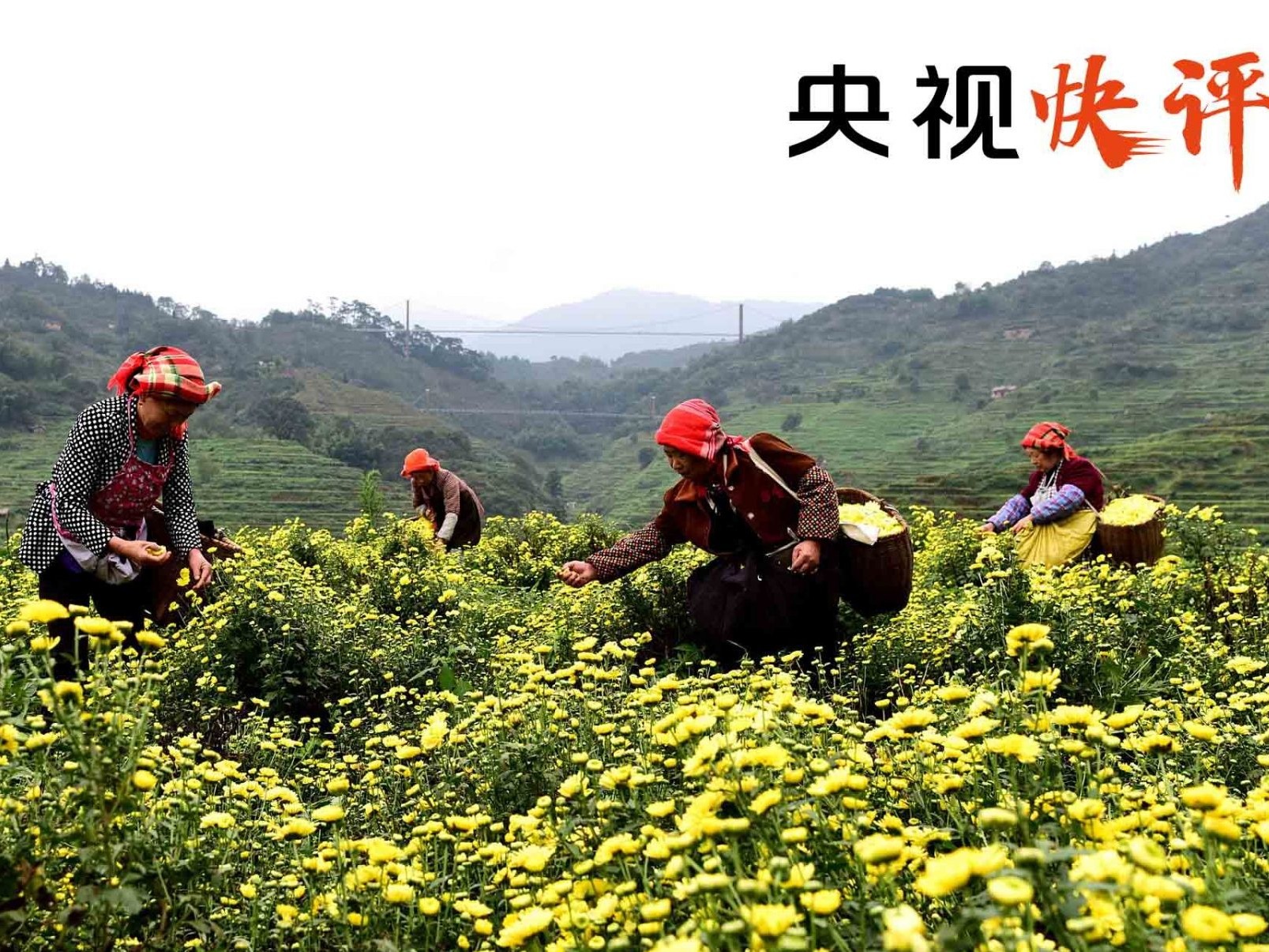 【央视快评】扎扎实实把脱贫攻坚战推向前进