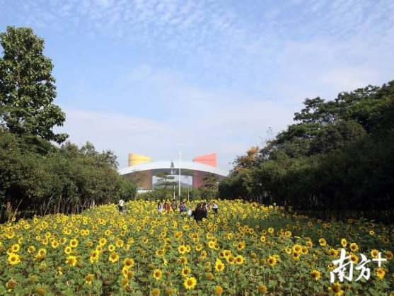 福田将建湾区现代科技法律服务中心，出台AI等法律指引