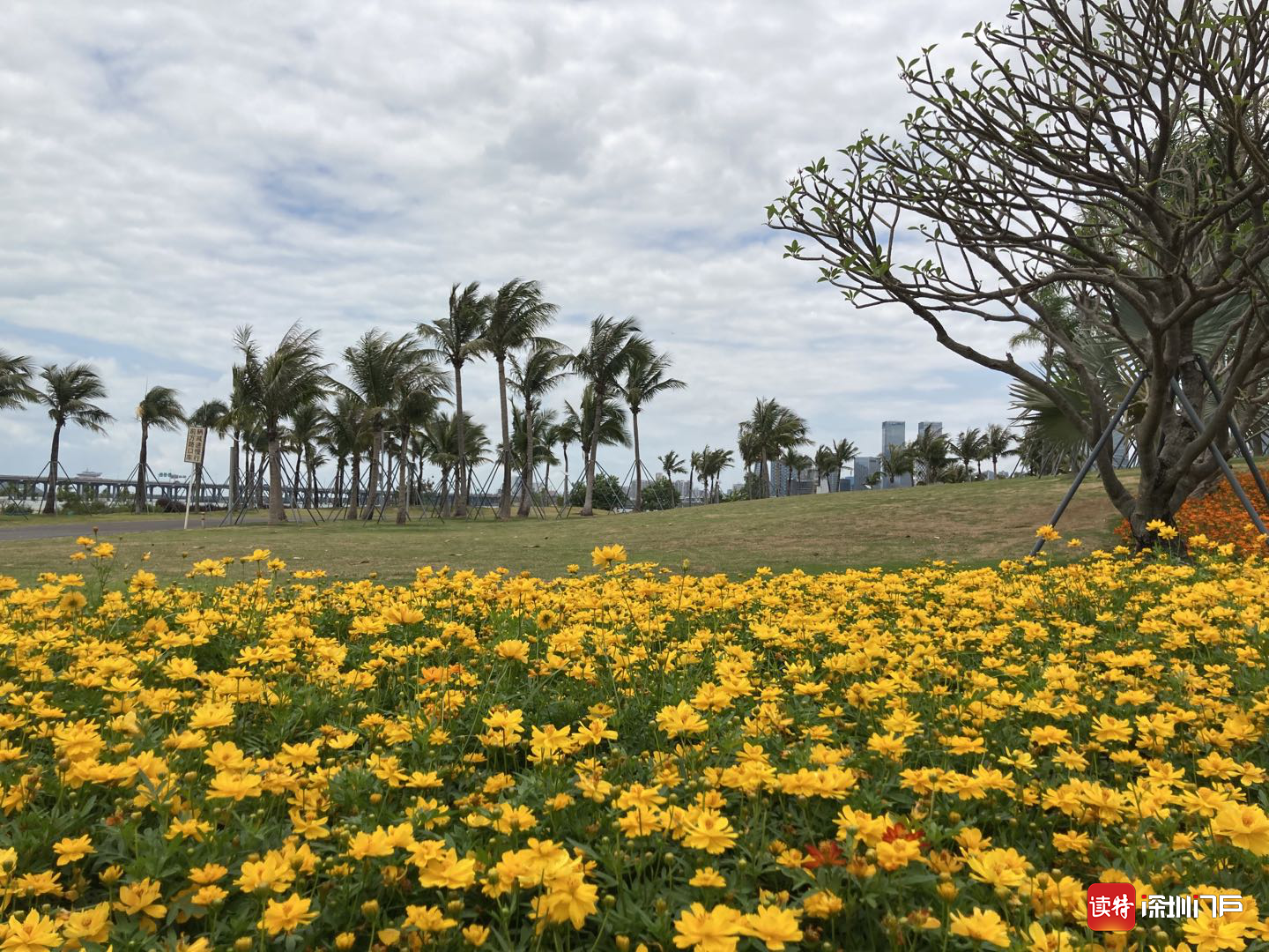 又一海边打卡地，风景虽美，但不方便！前海海边公园请快建公厕