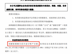 上市深企天价离婚，董事长前妻获235亿元股份，刷新A股纪录