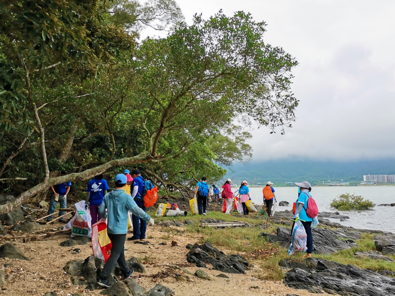 清洁海岸线  守护湿地生态