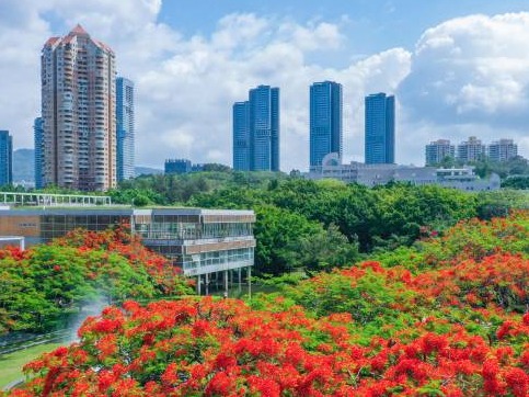 深圳向稳