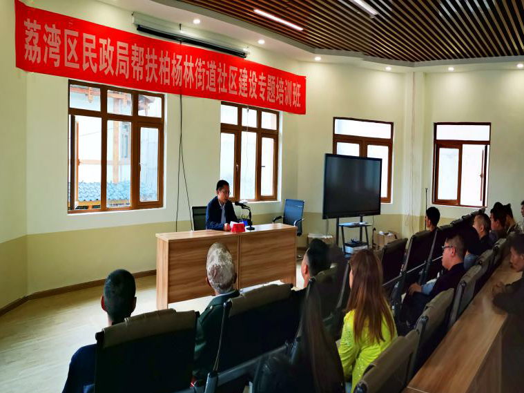 打造“带不走”的社区工作队！荔湾助力杨林街道建设