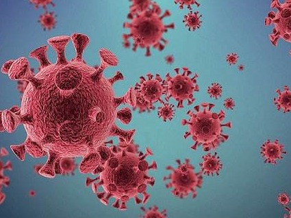 美媒：新冠病毒已蔓延至巴西亚马逊河上游的土著部落