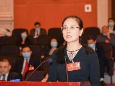 来自海南的“大拇指”：深圳干部的热情和专业来自哪里？