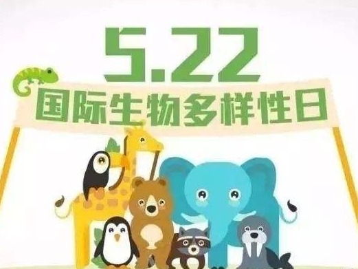 用生物技术保护生物多样性 中国这样做