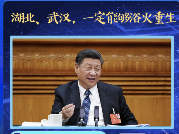 金声来习 | 湖北、武汉，一定能够浴火重生