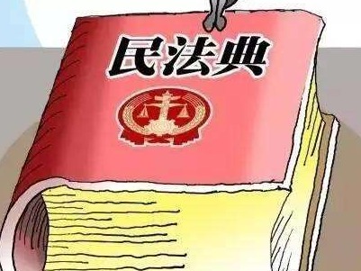 1260条，自带话题的民法典草案都有哪些亮点？