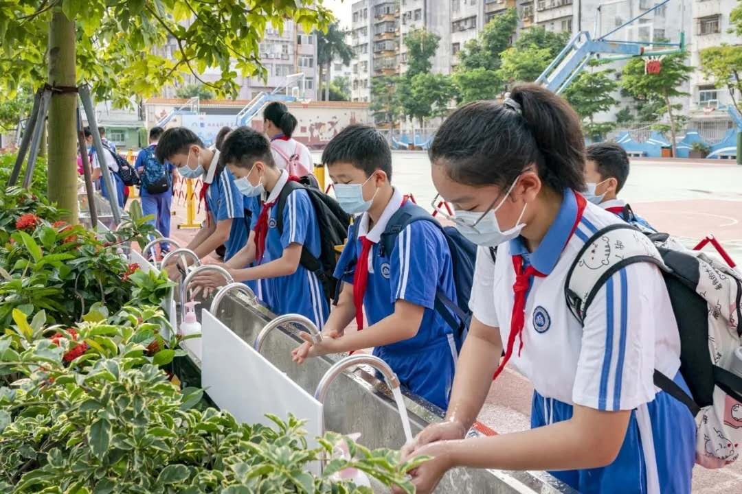 多图直击！罗湖又一批“神兽”返校