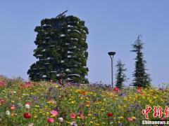 实拍意大利米兰“树木图书馆” 混凝土建筑被绿植覆盖