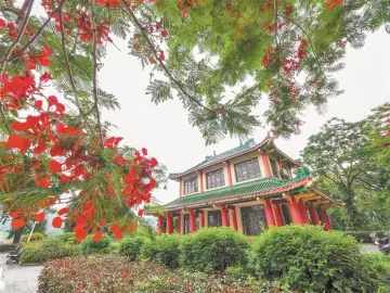东湖公园一片红 快来欣赏凤凰花