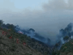一定要平安！四川凉山再发火灾，正全力扑救