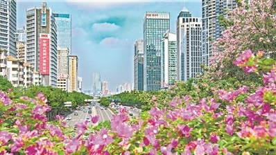 五羊新城、环市东路、动物园北门……老城区这些地方要大变样