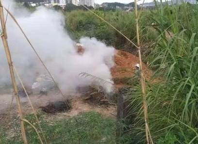 焚烧杂草引发山火 深汕特别合作区两村民被处罚